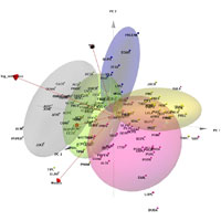 Urban trees functional trait database 