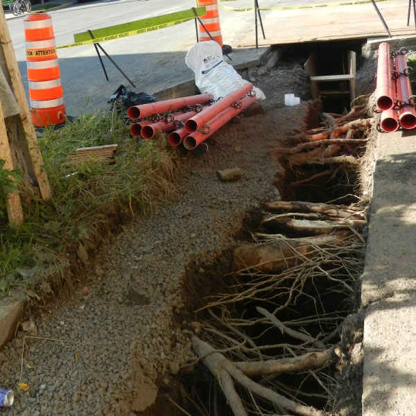 Evaluating the conflict between urban trees and the underground utility network - a literature review